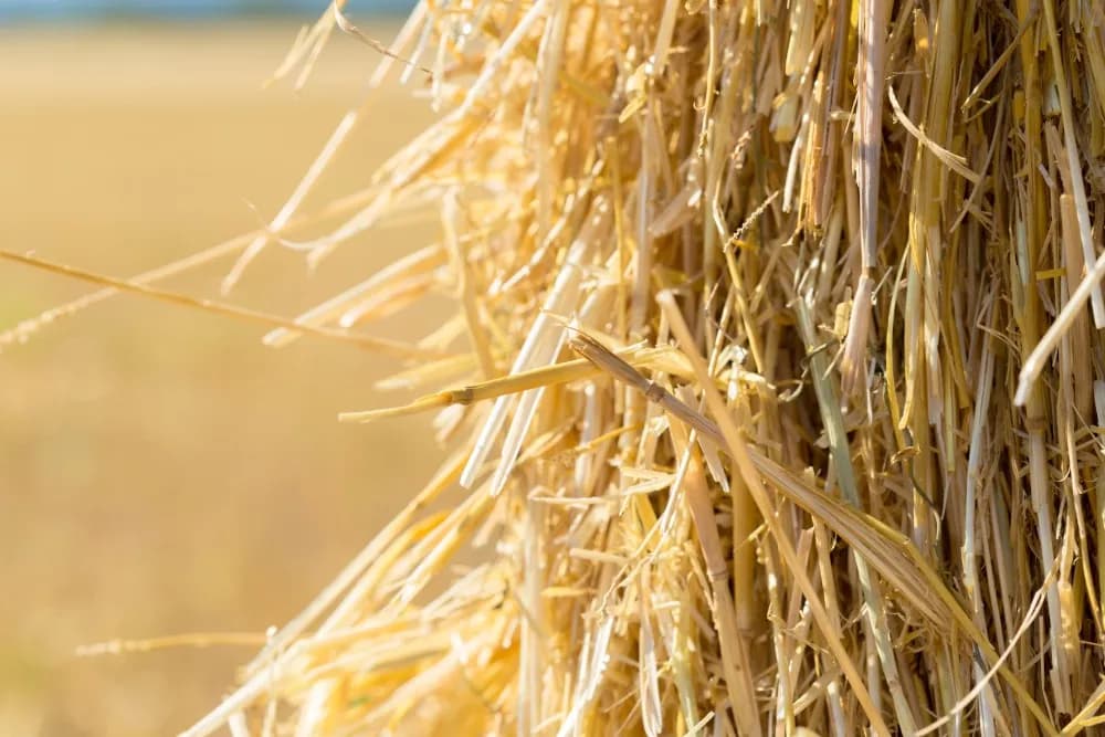 Jak zrobić pellet ze słomy krok po kroku – praktyczne porady i korzyści