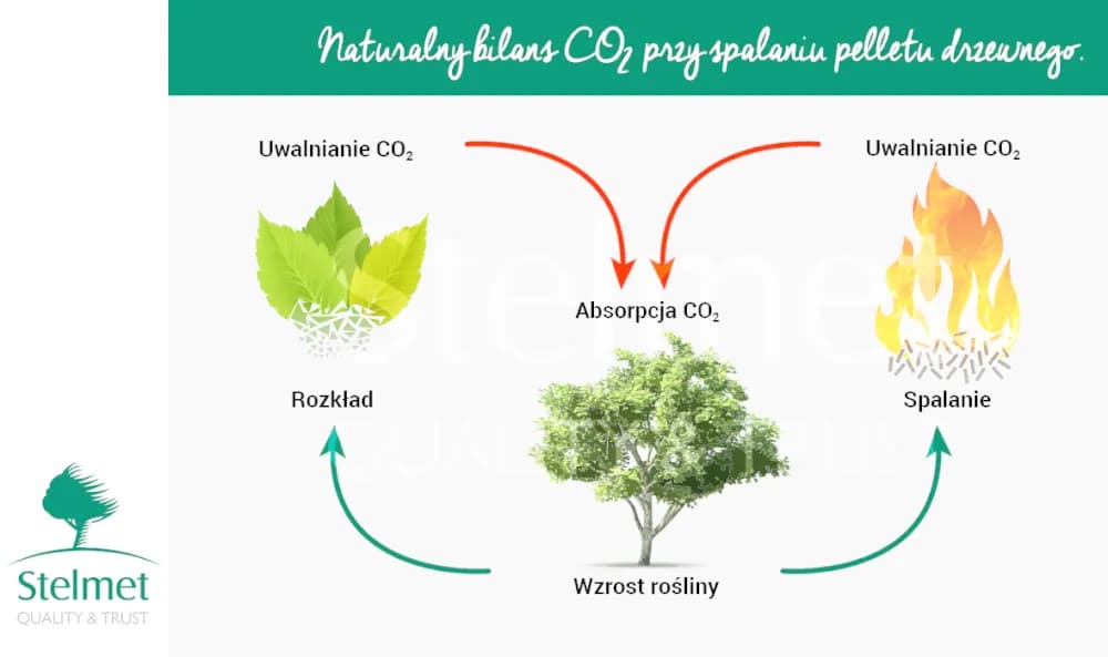 Czy pellet to biomasa? Wyjaśniamy, dlaczego to ekologiczne paliwo zyskuje popularność